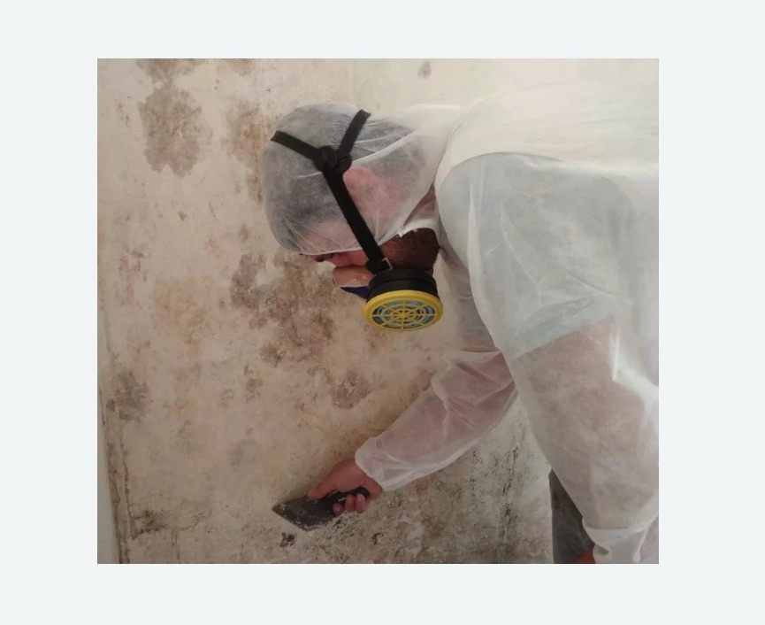 Обработка стен от плесени в Бескудниковском районе Москвы